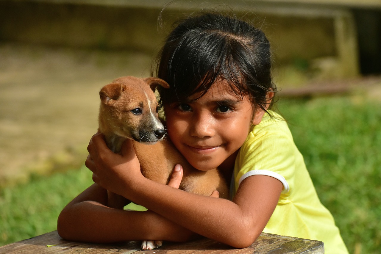 Dog helps to reduce stress levels