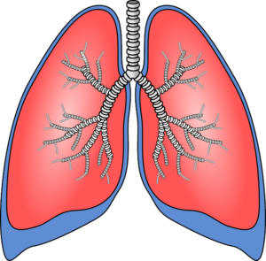 The lungs become saturated with oxygen because of acute hyperventilation 